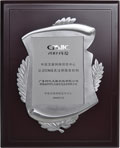 2009 CNNIC CN Domain Name Registration Service Provider